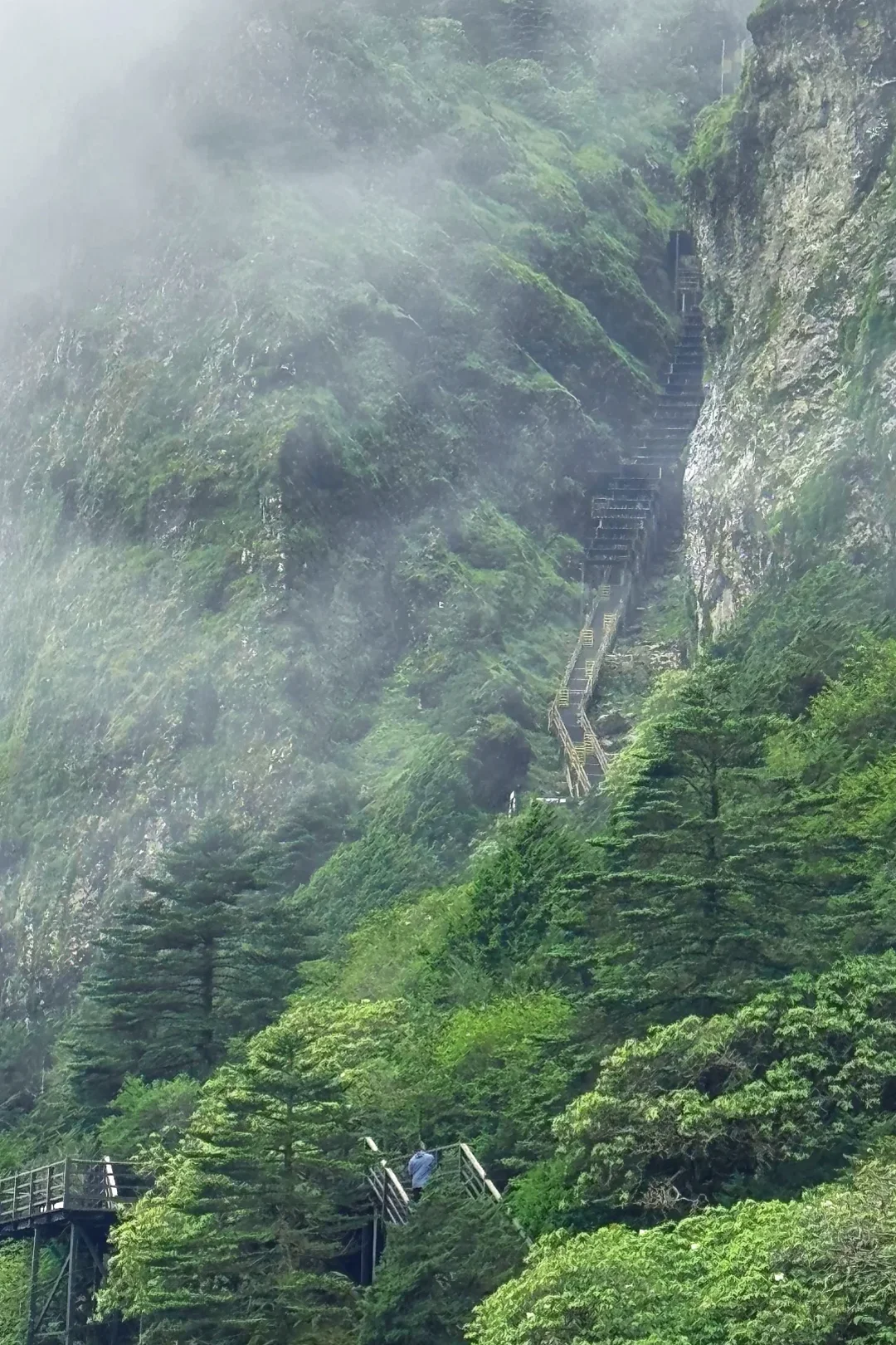 轿子雪山 · 滇中第一山
