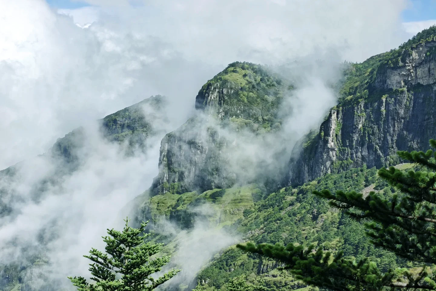 轿子雪山近顶草甸