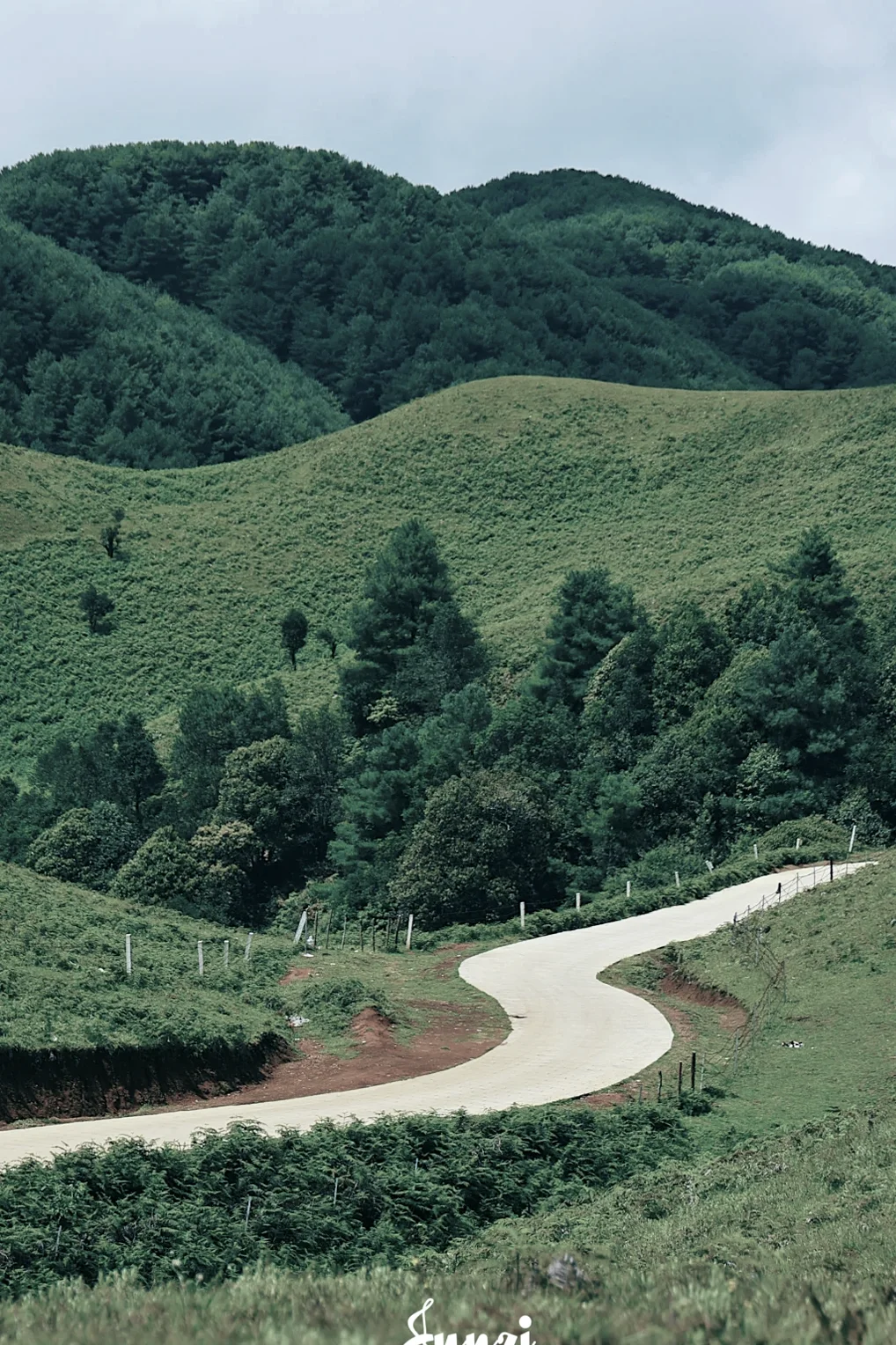 四哨村航拍盘山草甸路