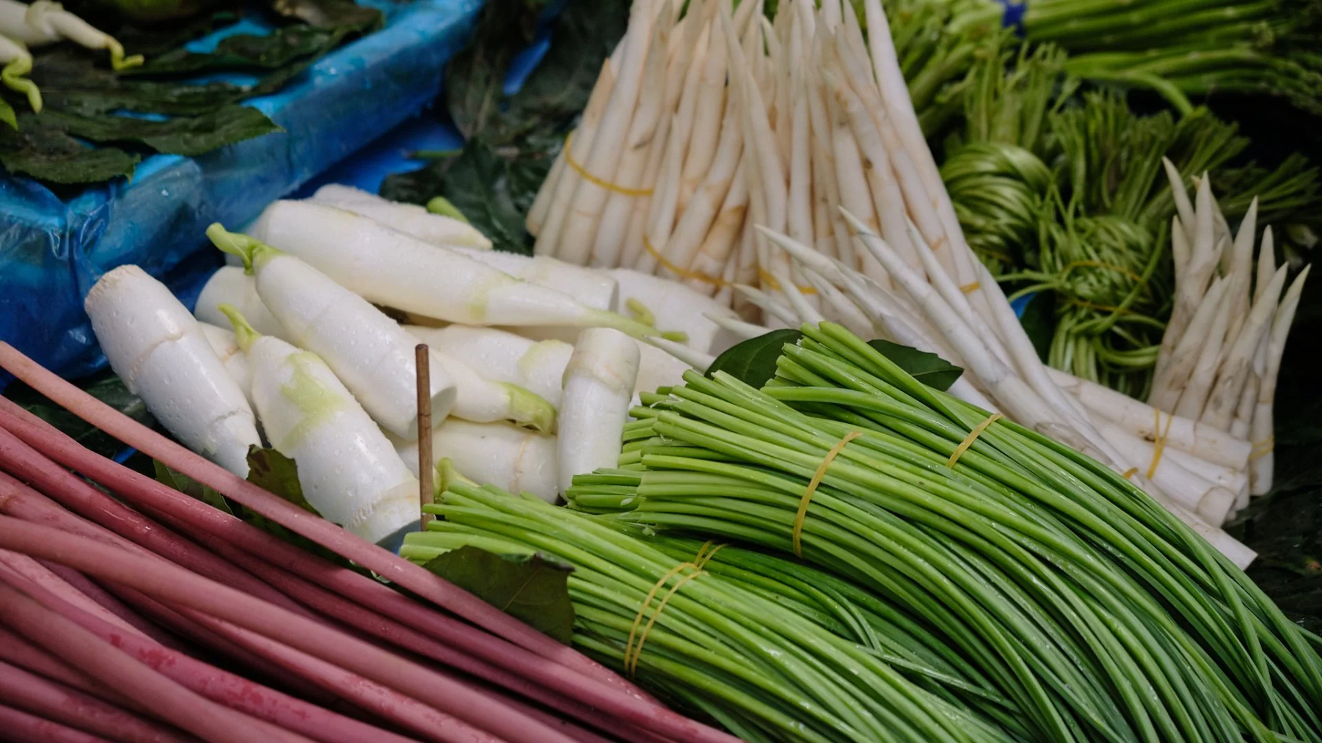 昆明菜市场新鲜蔬菜 · 白萝卜蒜苔与红茎菜