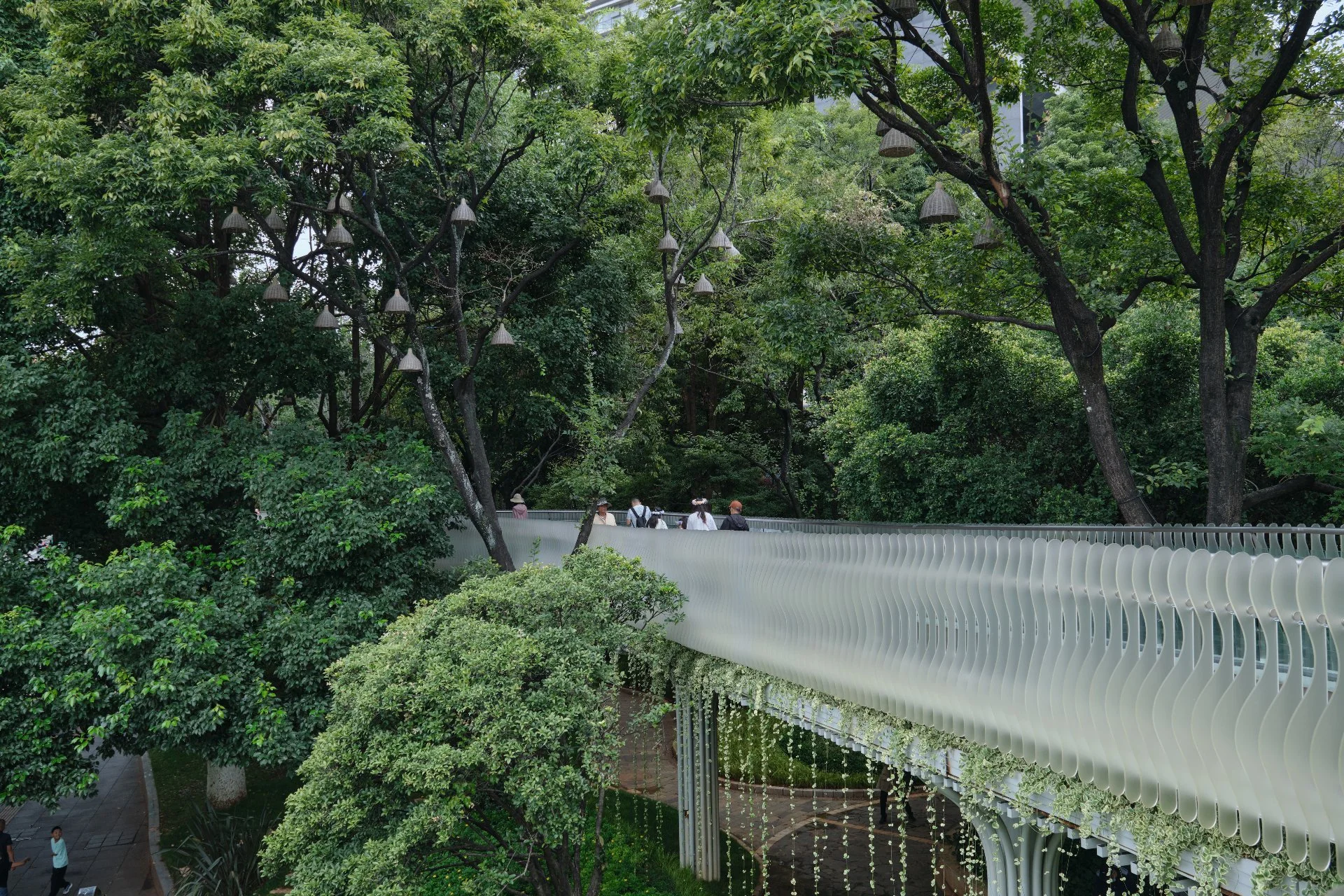 老街至翠湖空中栈道 波浪护栏与垂挂绿植