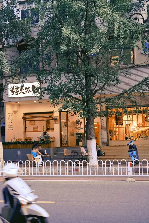 文林街咖啡馆，窗外梧桐成荫